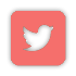 Twitter Icon